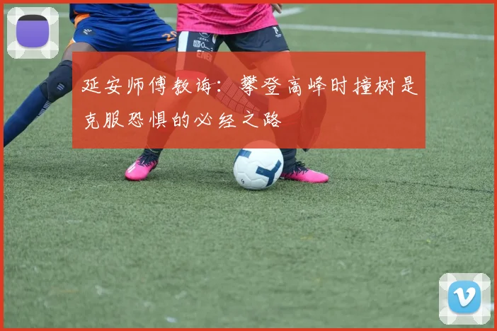 延安师傅教诲：攀登高峰时撞树是克服恐惧的必经之路